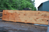 Oregon Fir Slab 061220-03
