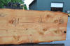 Oregon Fir Slab 061220-03