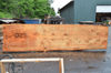 Oregon Fir Slab 061220-04