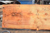 Oregon Fir Slab 061220-04