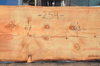 Oregon Fir Slab 061220-04