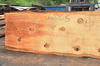 Oregon Fir Slab 061220-05