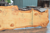 Oregon Fir Slab 061220-05