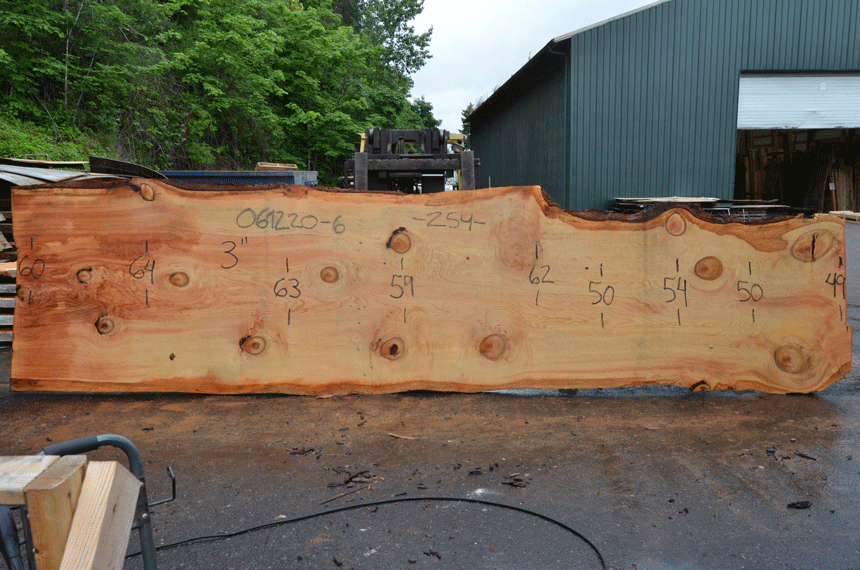 Oregon Fir Slab 061220-06