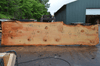 Oregon Fir Slab 061220-06