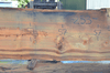 Oregon Fir Slab 061220-09
