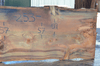 Oregon Fir Slab 061220-09