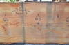 Oregon Fir Slab 061220-11