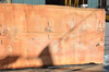 Oregon Fir Slab 061220-12