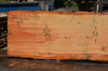 Oregon Fir Slab 061220-15