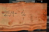 Oregon Fir Slab 061220-15