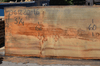 Oregon Fir Slab 061220-16