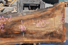 Oregon White Oak 062320-02