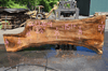 Oregon White Oak 062320-04