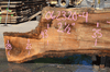 Oregon White Oak 062320-04