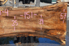 Oregon White Oak 062320-04