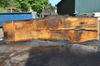 Oregon White Oak 062620-05