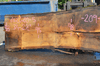 Oregon White Oak 062620-05