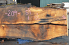 Oregon White Oak 062620-05