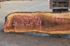 Oregon White Oak 062920-01
