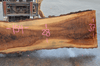 Oregon White Oak 062920-01