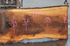 Oregon White Oak 062920-03