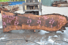 Oregon Black Walnut Slab 070120-01