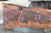 Oregon Black Walnut Slab 070120-01