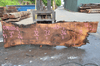 Oregon Black Walnut Slab 070120-02