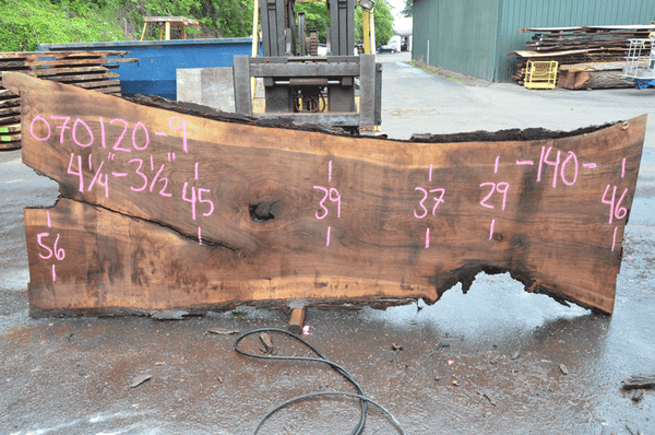Oregon Black Walnut Slab 070120-09