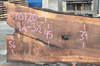 Oregon Black Walnut Slab 070120-09