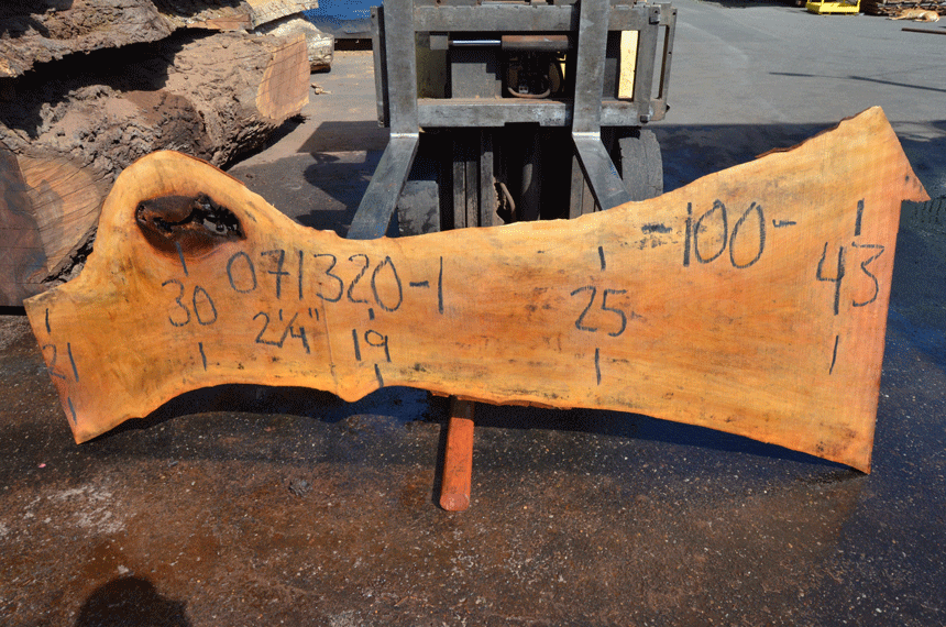 Sycamore Slab 071320-01