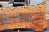 Sycamore Slab 071320-07