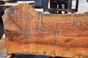 Sycamore Slab 071320-11
