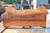 Sycamore Slab 071320-13