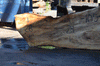 Silver Maple Slab 071921-01