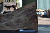 Silver Maple Slab 071921-01