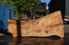 Silver Maple Slab 071921-02