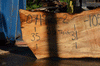 Silver Maple Slab 071921-02