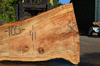 Silver Maple Slab 071921-02