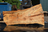 Silver Maple Slab 071921-03