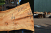 Silver Maple Slab 071921-03