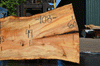 Silver Maple Slab 071921-04
