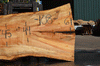 Silver Maple Slab 071921-05