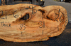 Silver Maple Slab 071921-06