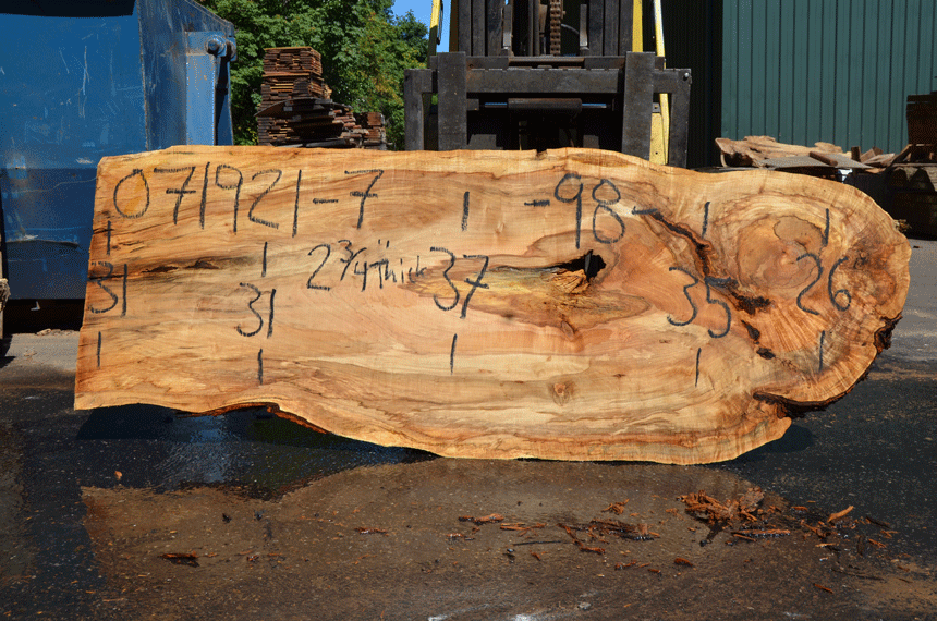 Silver Maple Slab 071921-07