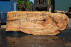 Silver Maple Slab 071921-07