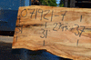 Silver Maple Slab 071921-07