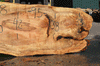 Silver Maple Slab 071921-08