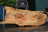 Silver Maple Slab 071921-09